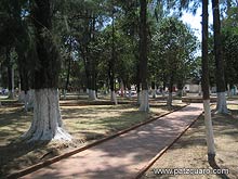 Camino adoquinado