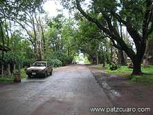 Camino de entrada a Chupícuaro