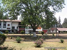 Jardines de la plaza