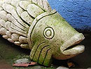 Galer&iacute;as del Arc&aacute;ngel - Clic para agrandar