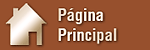 Página Principal